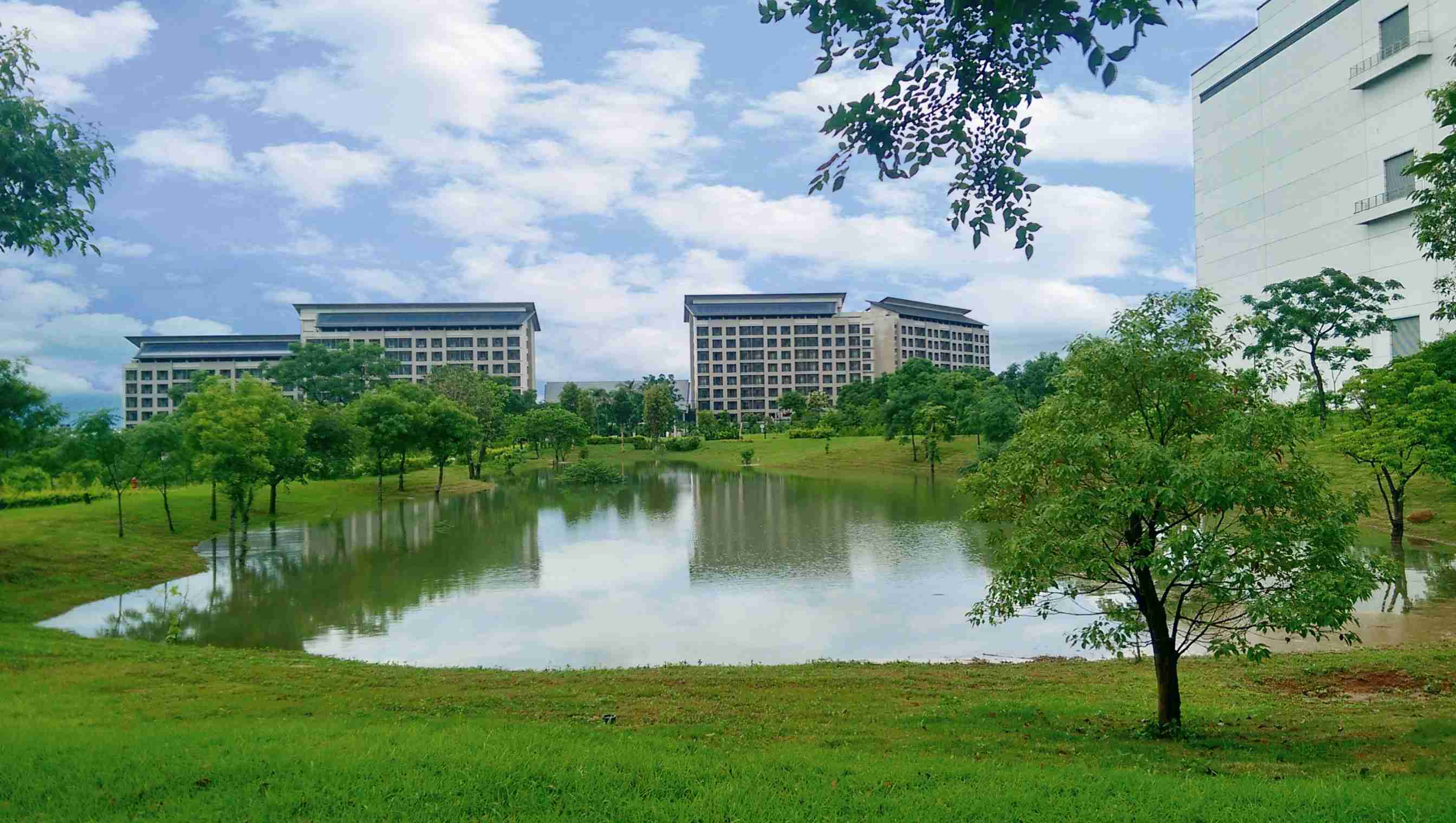 至成国际响应国际倡议生物多样性趋势，，首次发布TNFD自然相关财务揭露报告书，，，擘划及开展至成国际生物多样性政策之承诺，，，，逐步迈向与自然和谐共生